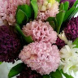 Meet your Posher, Raquel